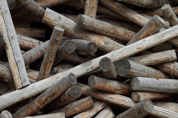 Background from trunks of trees.