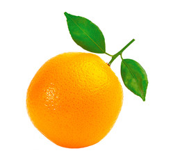 Orange fruit isolated on white background