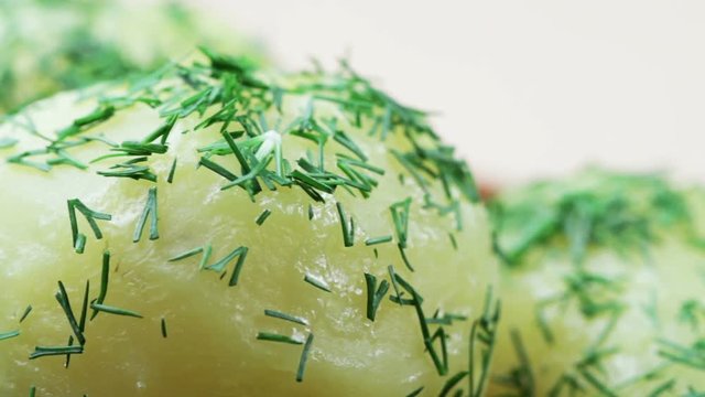 Cooked boiled potatoes with dill in a dish