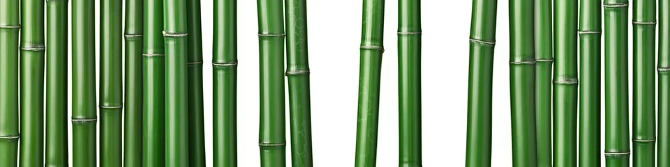 Papier Peint photo autocollant Bambou fond de bambou vert