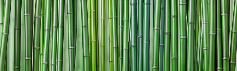 Foto auf Acrylglas Bambus grüner Bambushintergrund