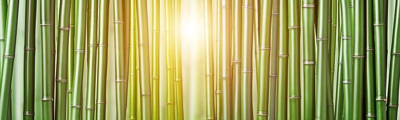Foto op Aluminium Bamboe groene bamboe achtergrond