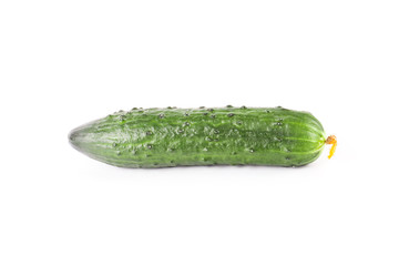 Cucumber isolated on white