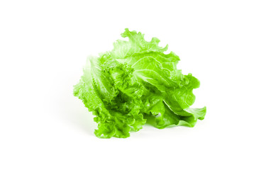 Lettuce isolated on white background