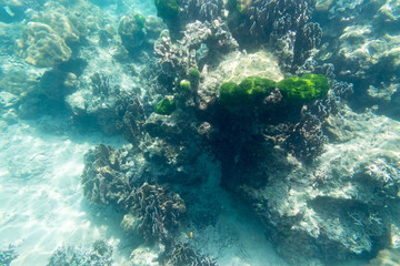 underwater view from snorkeling sport