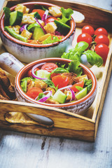 Vegetarian dish on a wooden table, a typical Tuscan dish, panzan