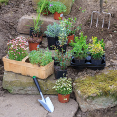 Gartenarbeit