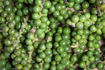 close up pile of fresh green pepper as a background