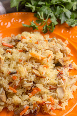 Asian pilaf on a orange plate
