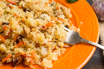 Asian pilaf on a orange plate