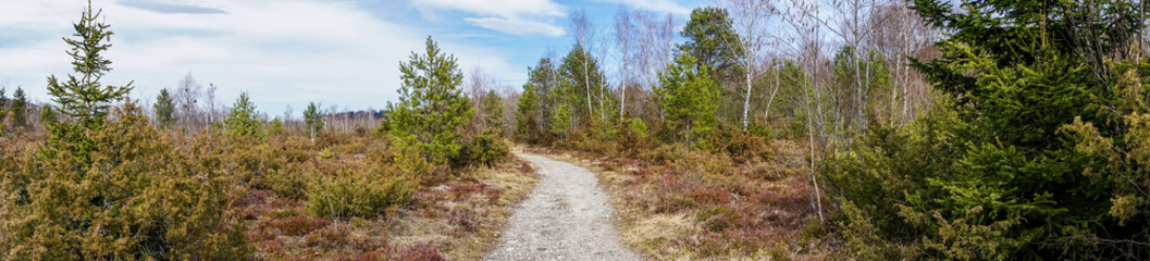 Wanderweg durch die Isarauen in Bayern bei Lenggries als Panoramabild