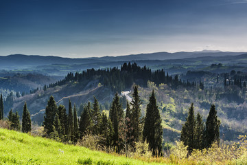 Fototapeta premium Houses with cypress trees in a green spring day.