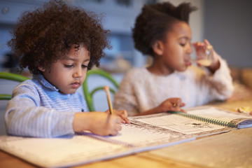 Brother And Sister Sitting At Table Doing Homework Together