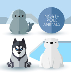 North Pole Animals : Vector Illustration