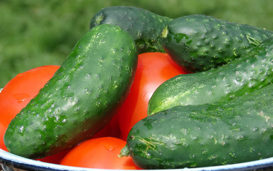 Pile of the entire fresh cucumbers and tomatoes