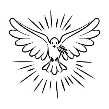 Flying dove vector sketch. Dove of Peace.