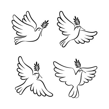 Flying dove vector sketch set. Dove of Peace.