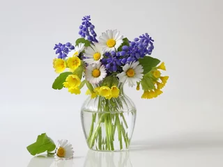  Bouquet of spring colorful flowers in a vase. Floral still life with posy of daisy, grape hyacinth and cowslip flowers in a vase. © ivoraobrazy