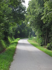 Road at summer