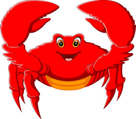 illustration of cute crab cartoon