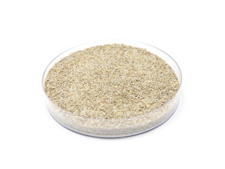 Roggenschrot in Petrischale
