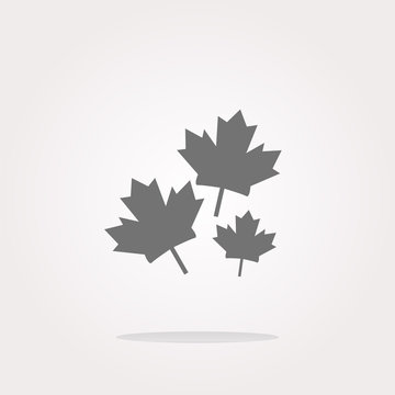vector Maple leaf icon on web button. Web Icon Art. Graphic Icon Drawing