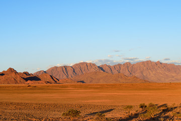 Plakat Sossusvlei, Namib Naukluft National Park, Namibia