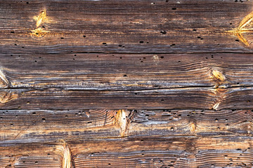 Naklejka premium The old wood texture with natural patterns