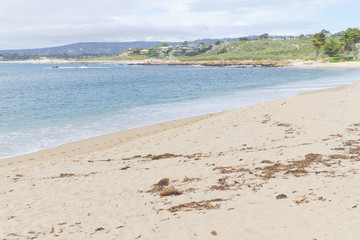 Beach at Garrapata State Park, California