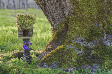 Fairy house with moss next to Tree Trunk/Small fairy house with moss covered roof and purple...