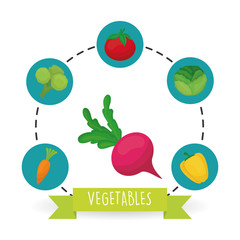 Vegetable design over white background, vector illustration