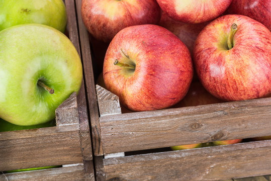Assorted farm organic apples in crates.