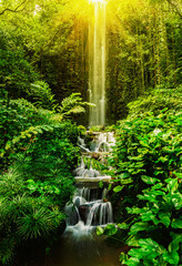 Tropical waterfall © Dmitry Rukhlenko