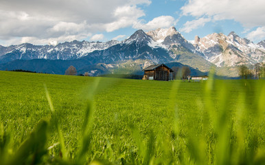 Fototapeta premium Góry w Alpach, Steinernes Meer, trawa na pierwszym planie