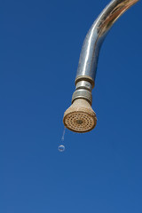 Fototapeta premium water drops