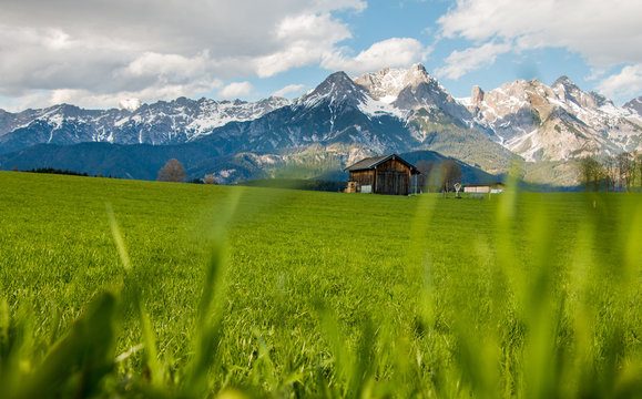 Berge In Den Alpen, Steinernes Meer, Gras Im Vordergrund