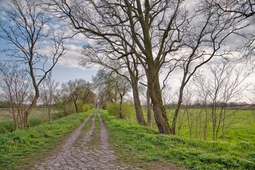 Historischer Weg durch eine Wiesenlandschaft im Frühling