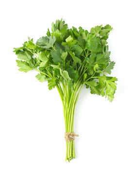 Bunch Of Parsley On White Background