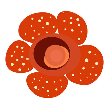 Isolated red "Rafflesia" flower with white dotted petals from the top view on white background - Eps10 Vector graphics and illustration