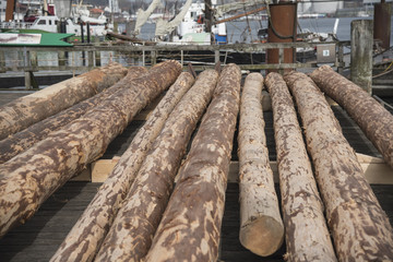 Wood for boats