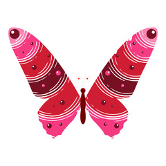 Isolated colorful butterfly clip art with different ornaments and patterns for children books on a white background - Eps10 vector graphics and illustration