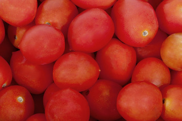 Close up Collection of Bright Red Cherry Tomatoes