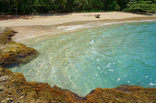 Tropical beach with natural pool in the Caribbean sea, playa Chiquita, Puerto Viejo de Talamanca, Costa Rica