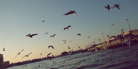 Fahrt auf dem Creek - Dubai, Vereinigte Arabische Emirate.