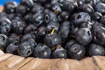 fresh picked blueberries