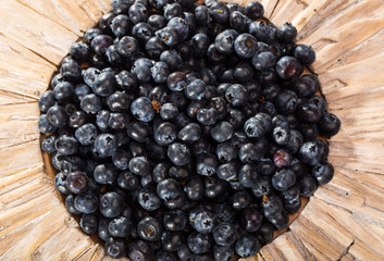 fresh picked blueberries