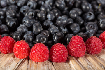 fresh picked blueberries