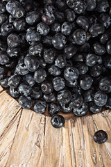 fresh picked blueberries