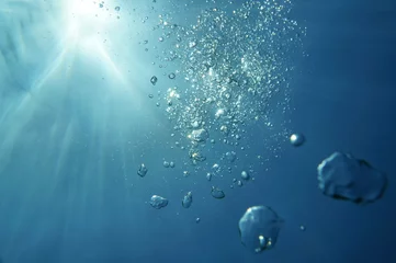 Foto auf Leinwand Underwater bubbles with sunlight through water surface, natural scene, Caribbean sea © dam