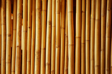 Straight bamboo pipes fence background.